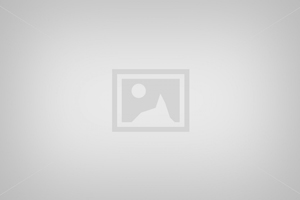 Trainer:innen-Forum am 16.10.2026