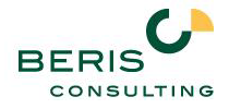 Logo Firma BERIS consulting GmbH