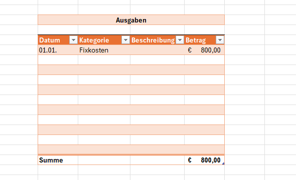 Screenshot Haushaltsbuch Position der Eintragung von Ausgaben